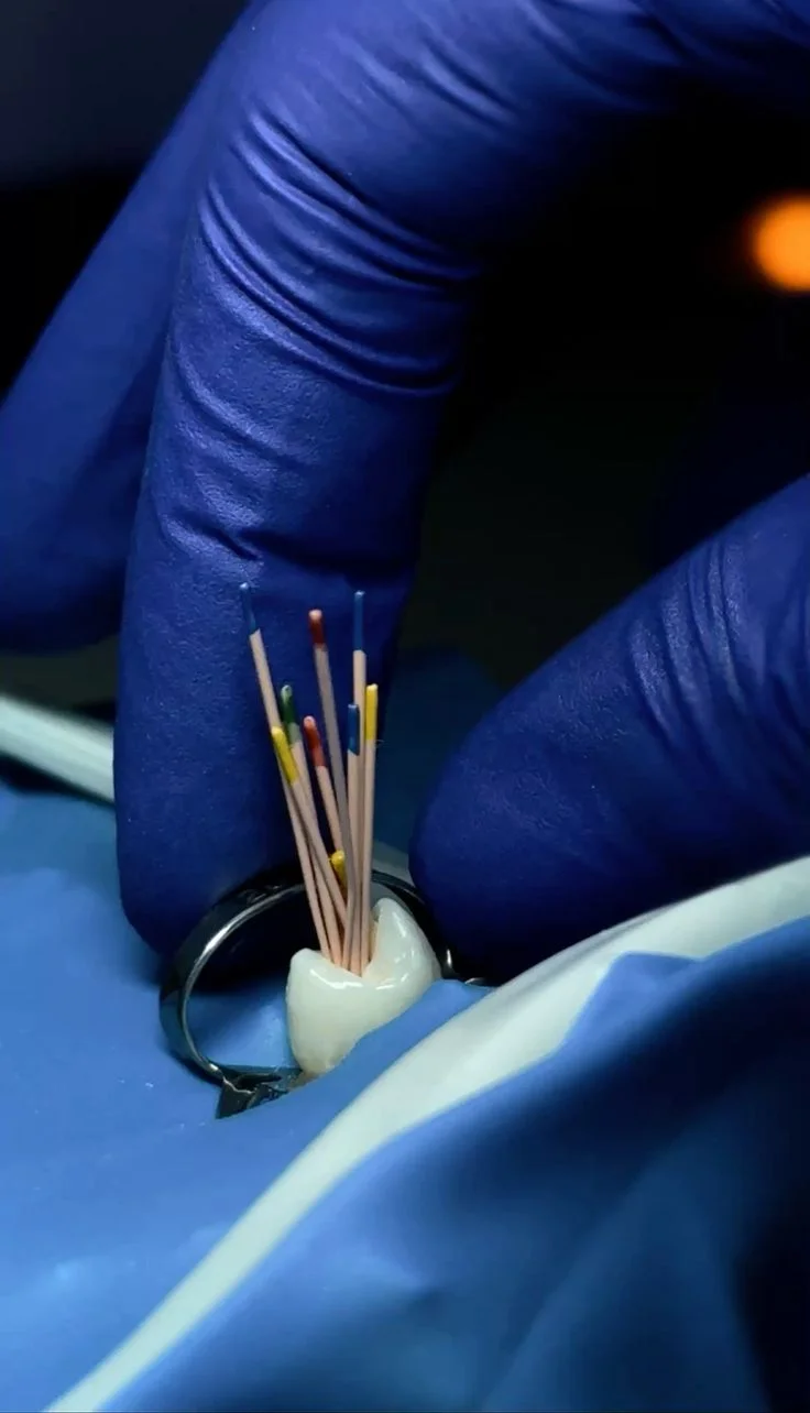 Prótesis y rehabilitación dental en OSADÍA